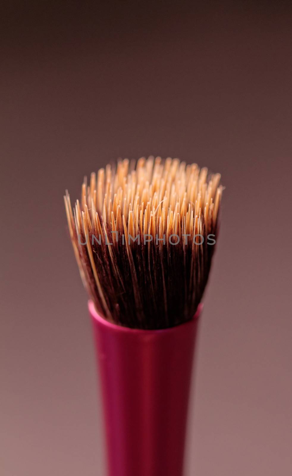 makeup brushes by NagyDodo