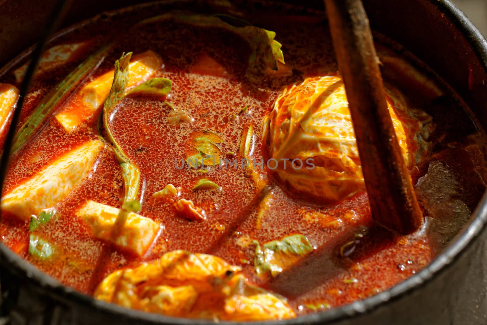 food cooking in stew pot in the nature