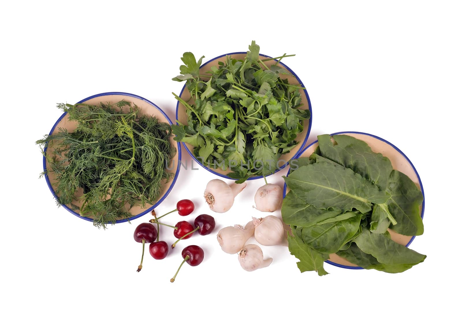 Daily healthy food ingredients: parsley, fennel, sorrel, garlic, sweet cherry on a white background