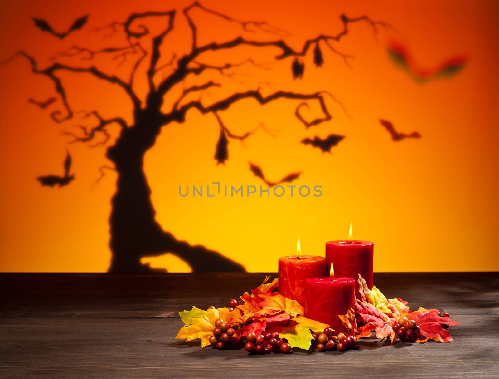 Candles in scary Halloween landscape with bats