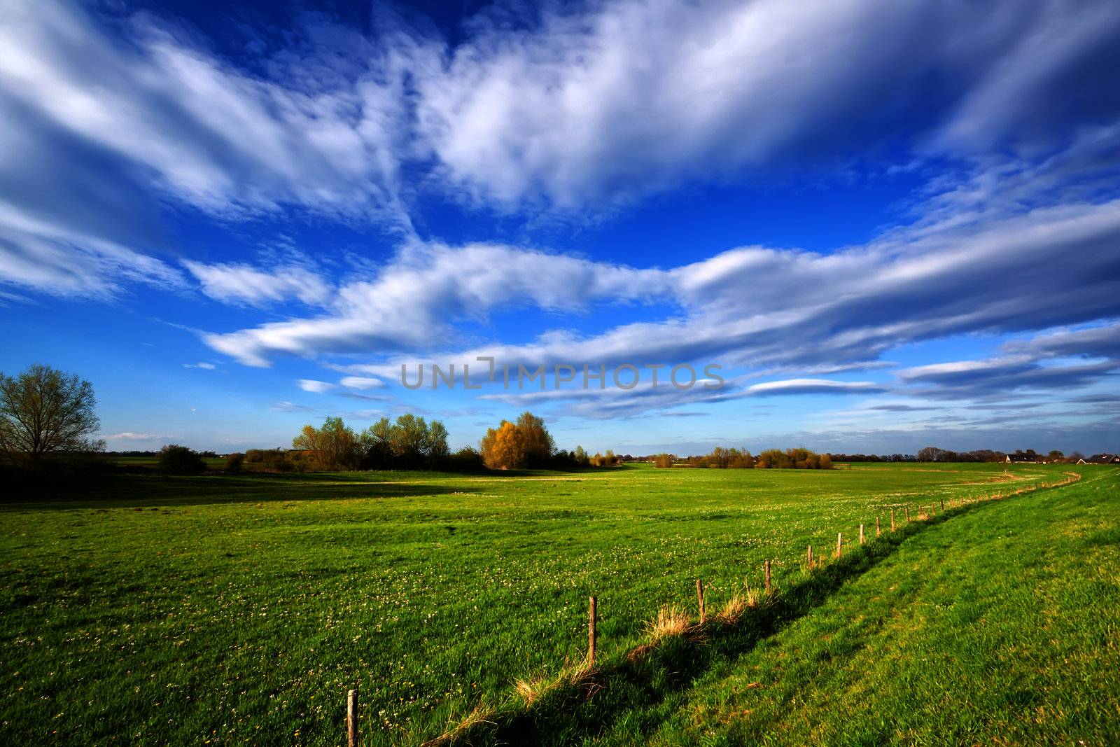 summer grassland and blue sky in sunny day, Holland