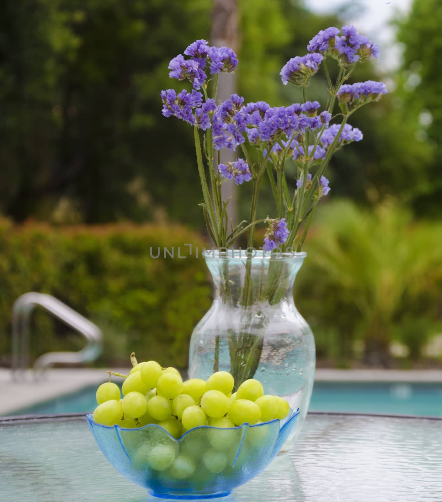 Vase with blue flowers and grapes stay on glass table by the pool