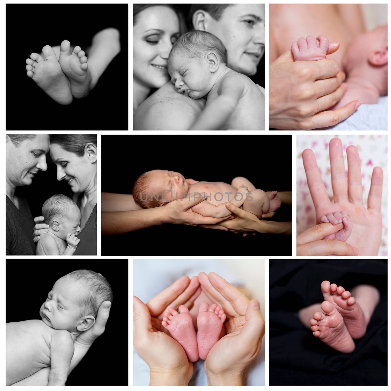 Collage of images newborn baby in a parent hands. Black-and-white photo