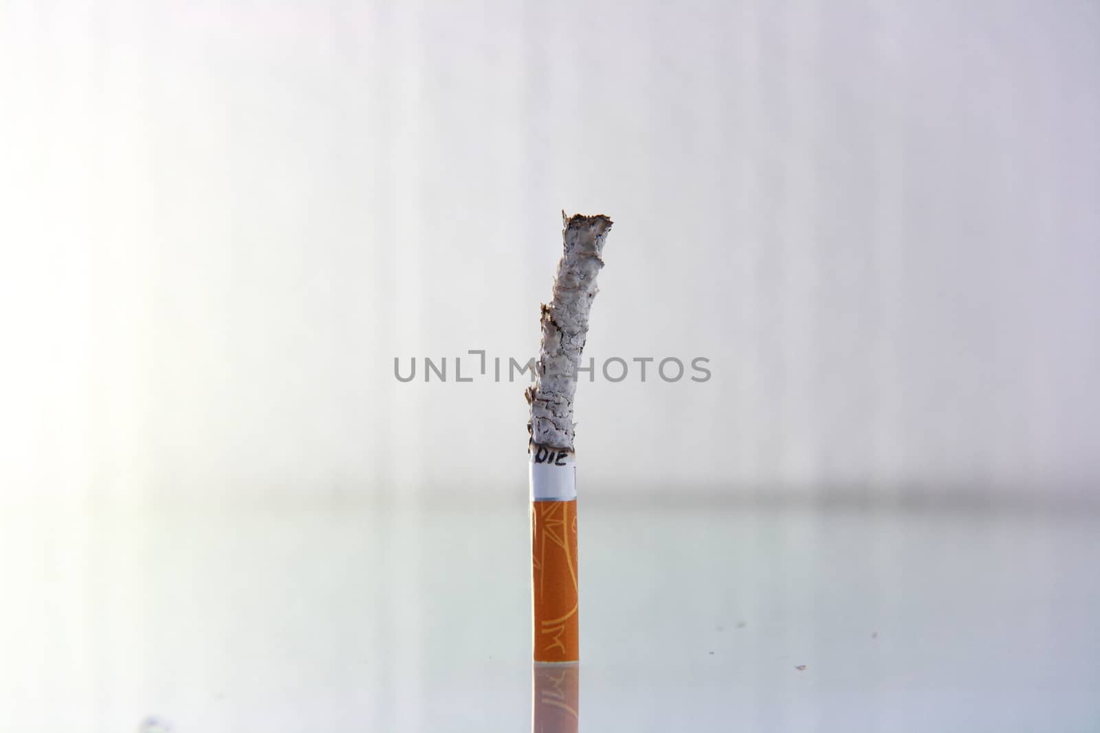 cigarette burning in front of white background