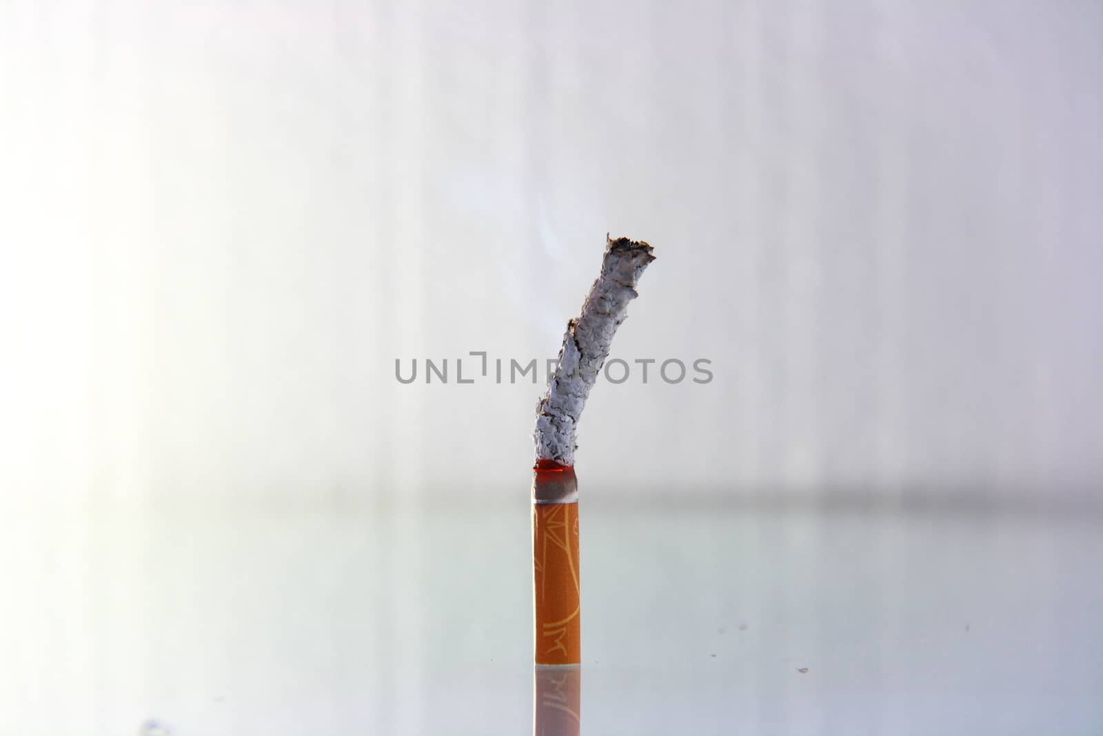 cigarette burning in front of white background