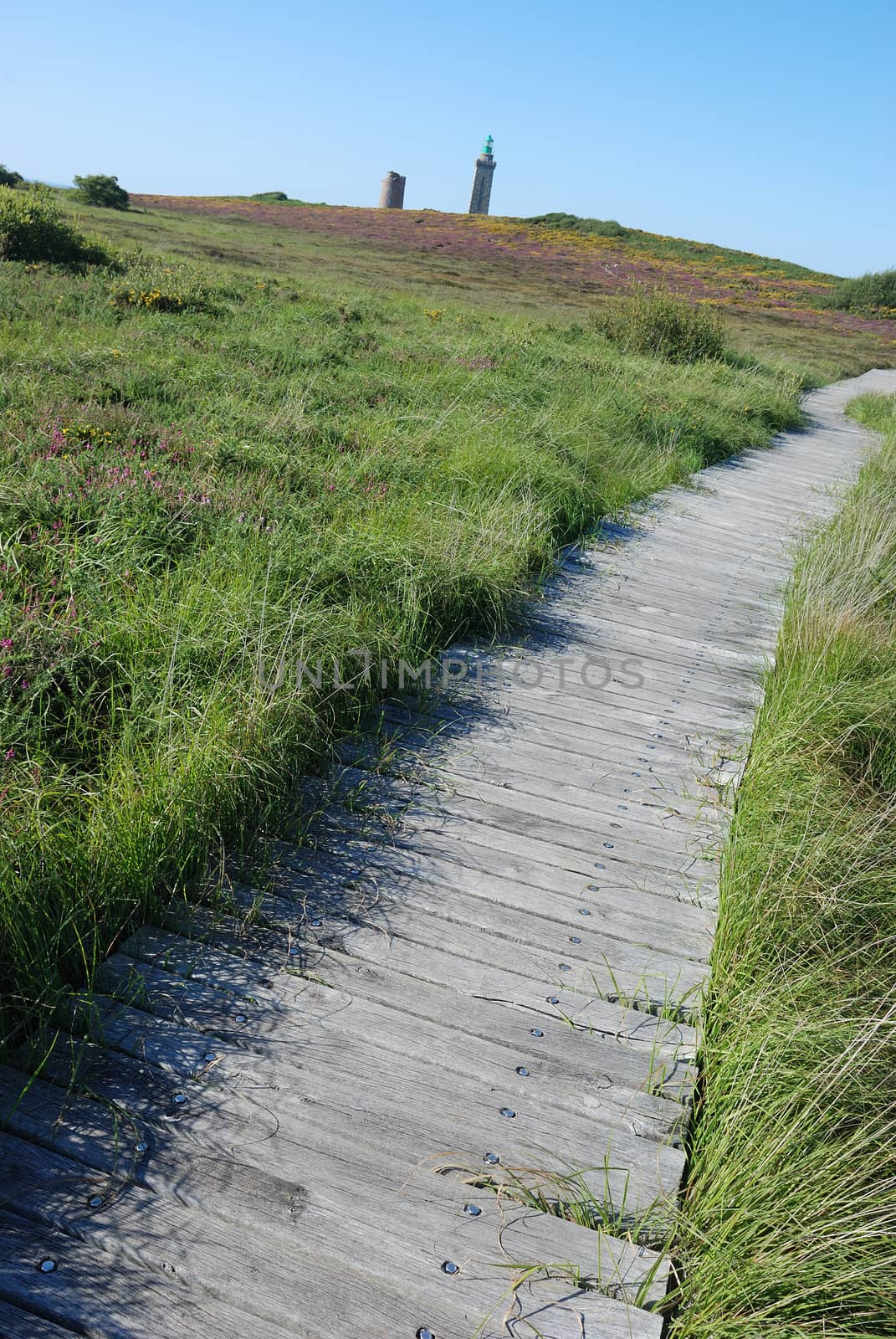 wooden path in the moor