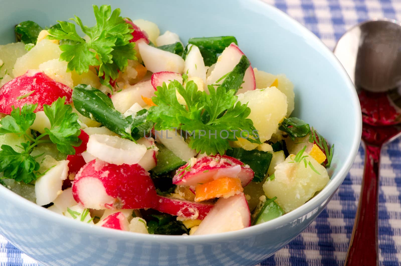 Summer salad of fresh vegetables