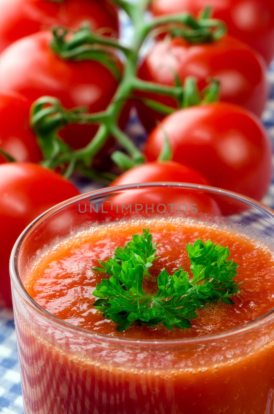 Fresh tomato juice with herbs