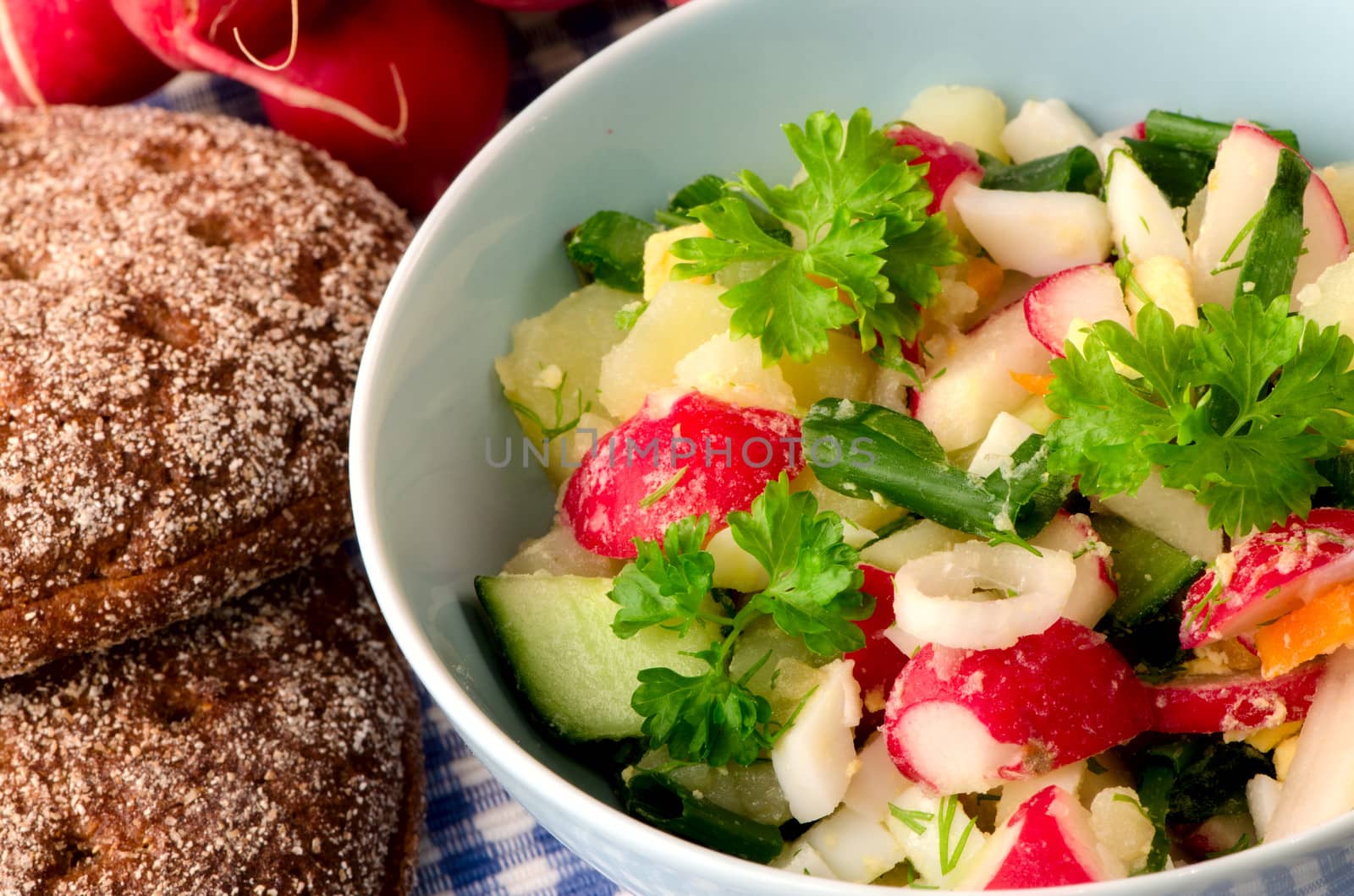 Summer salad of fresh vegetables