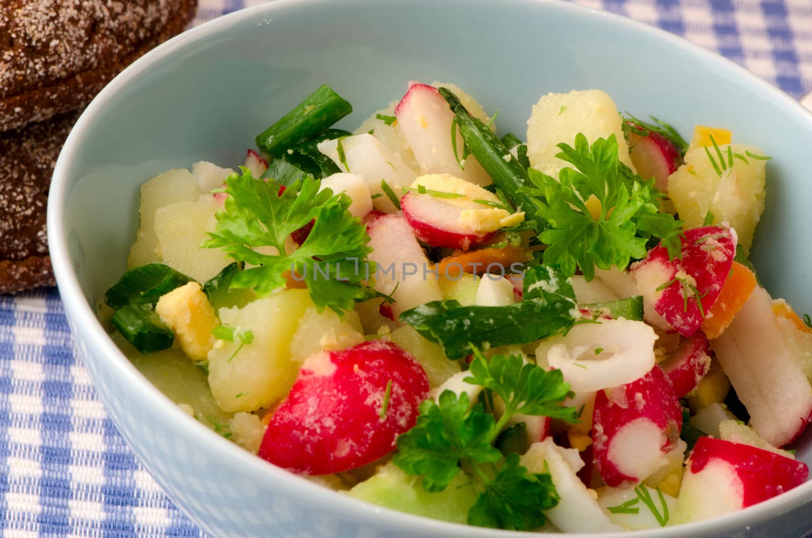 Summer salad of fresh vegetables