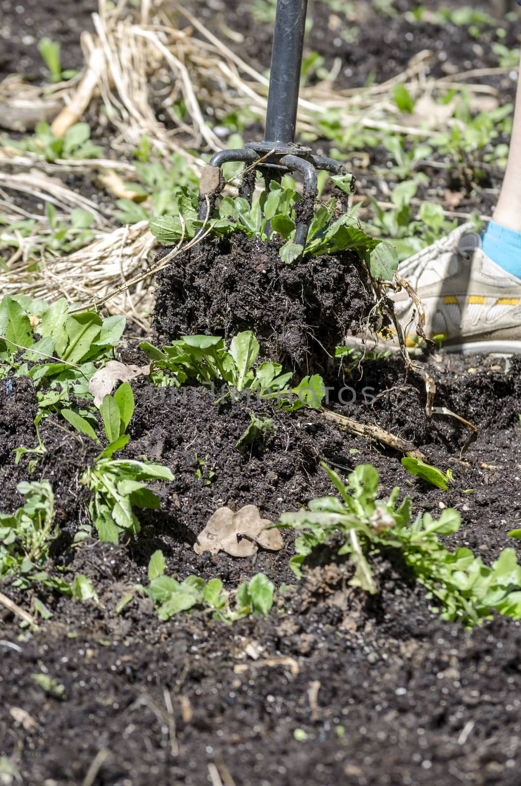 Closeup of turning spring soil.