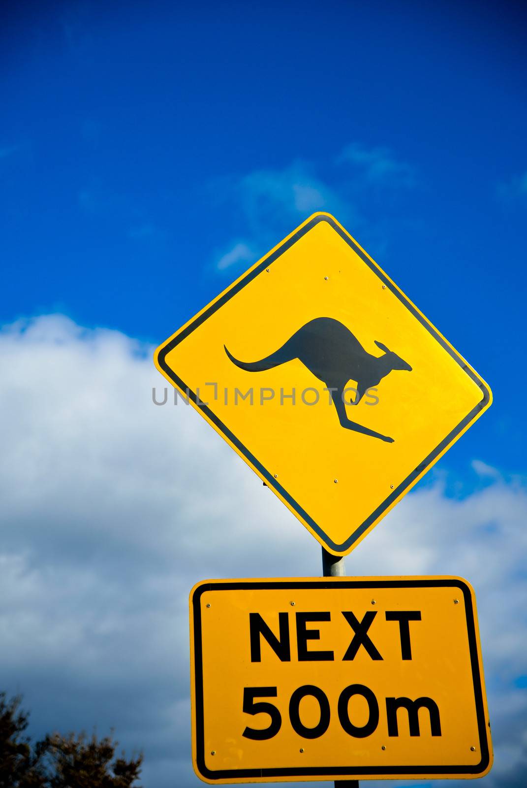 Kangaroo Sign by gjeerawut