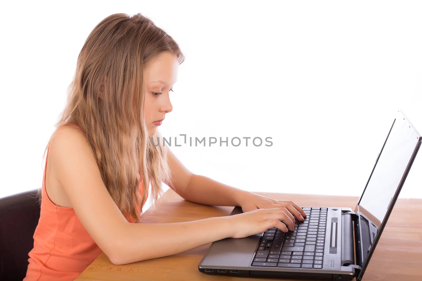 Pretty young girl with long hair and orange t-shirt working seriously on a laptop. Isolated on white background.