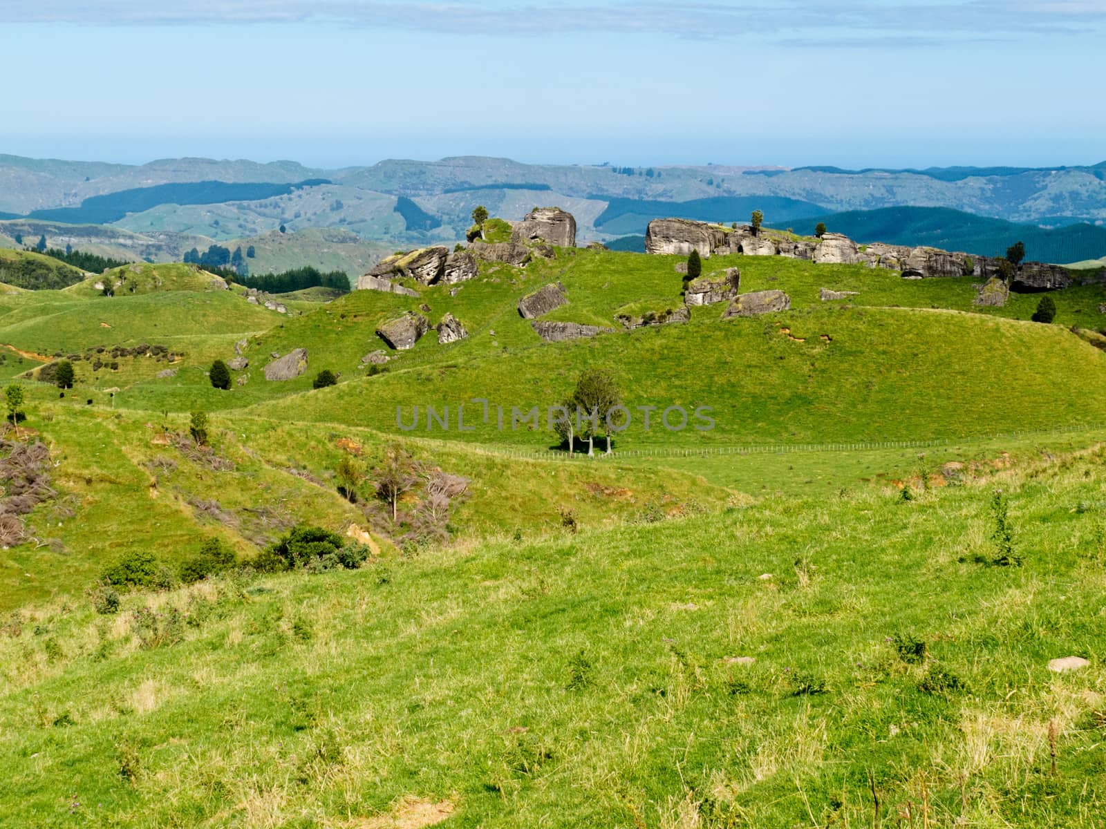 Scenic landscape of rural farmland pasture in hill country of Hawke's Bay district on North Island of New Zealand