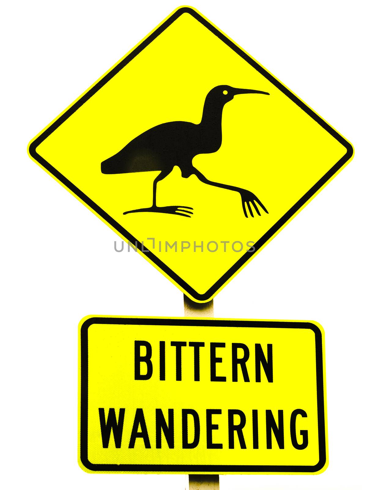 New Zealand Road Sign: Attention Bittern Crossing isolated on white background