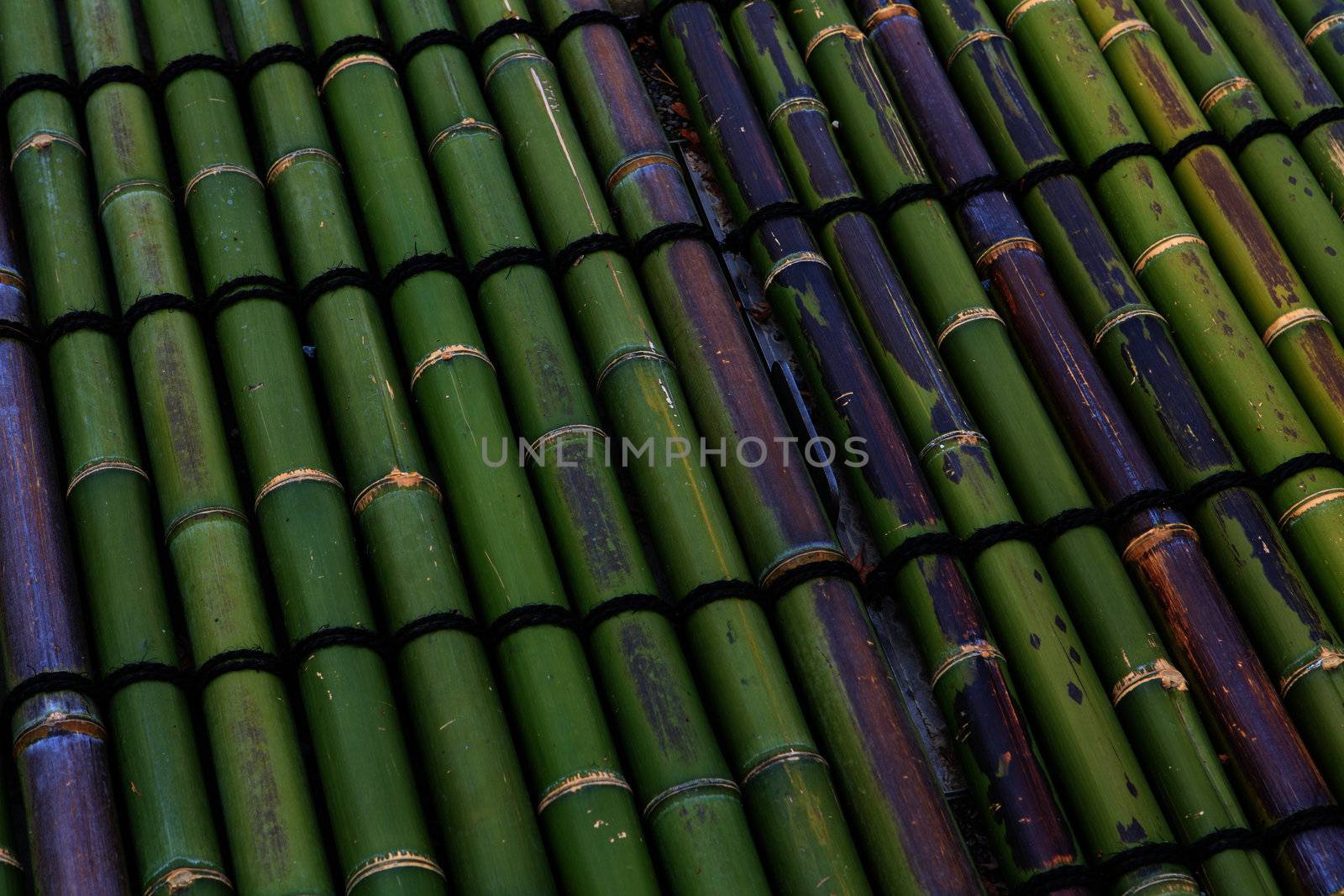 bamboo background by thanomphong