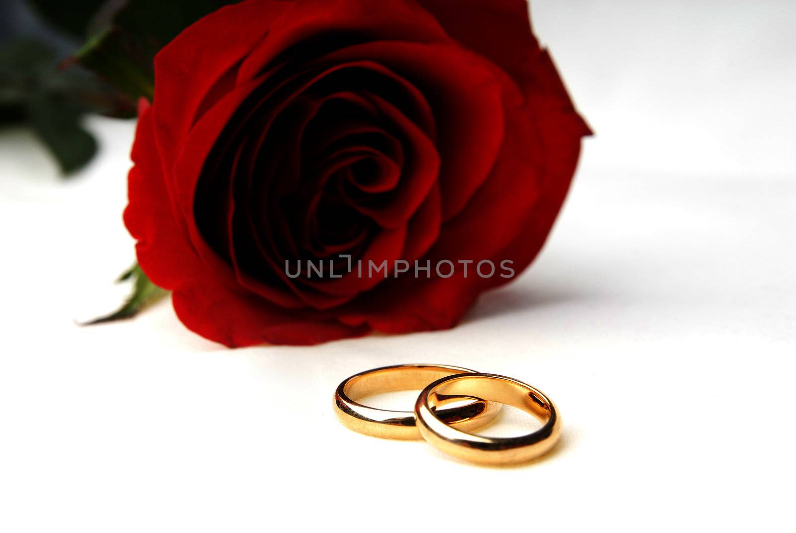 Rose and engagement rings as a symbol of Valentine day