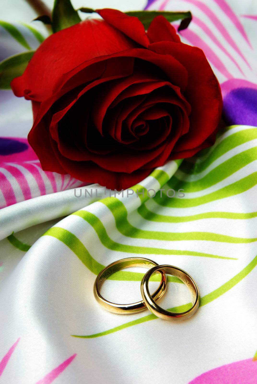 Photo of the one rose and two wedding rings of decoratic textile