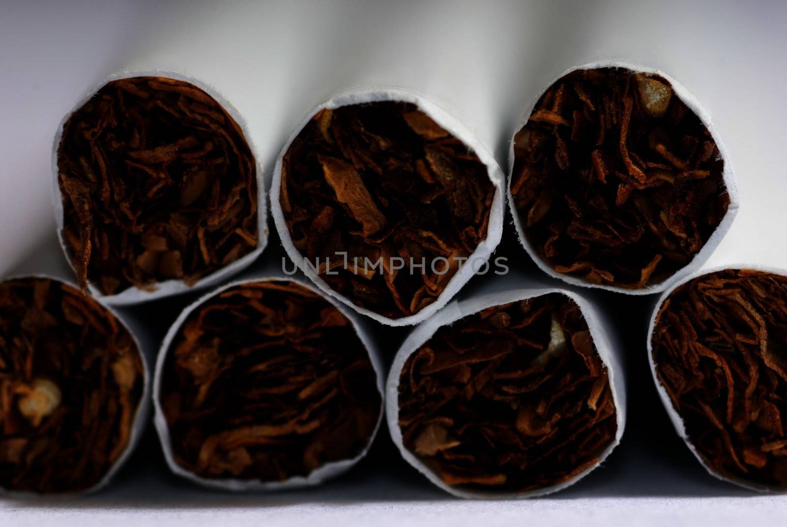 Extremely close-up photo of the cigarettes