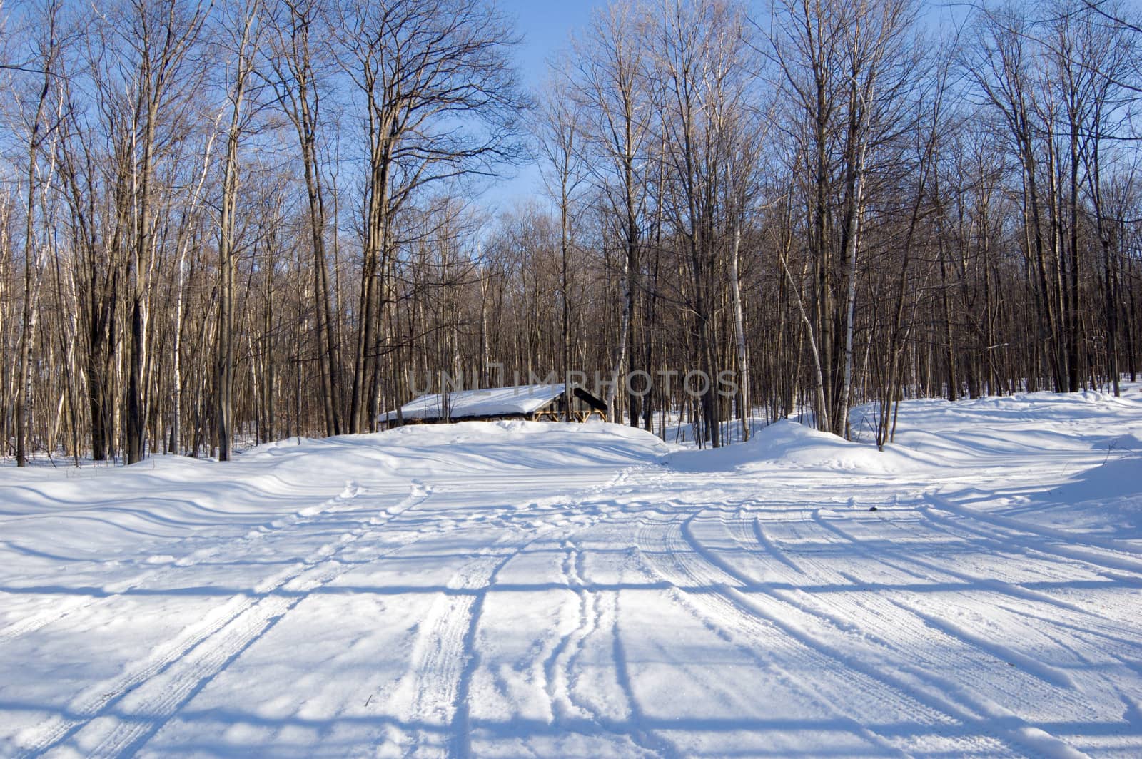 storehouse in winter forest in Ontario park
