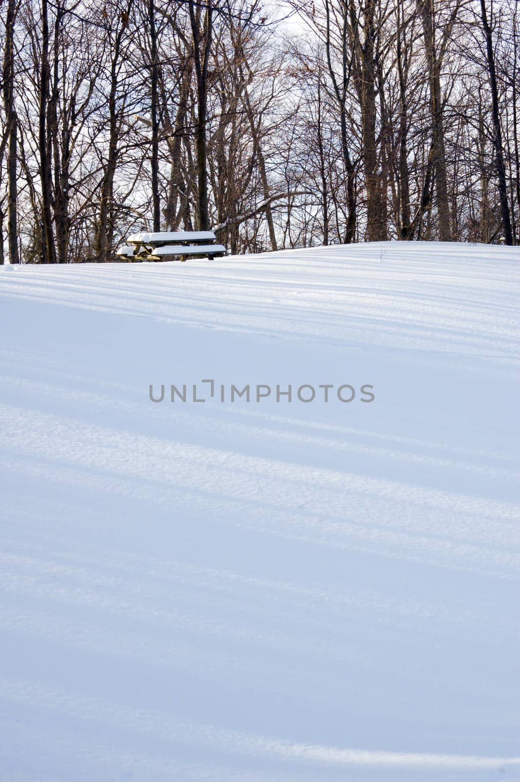Barbecue tables under snow in Ontario park