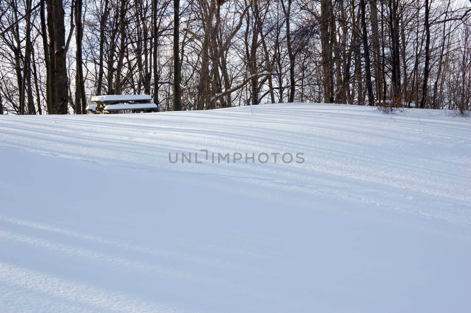 Barbecue tables under snow in Ontario park