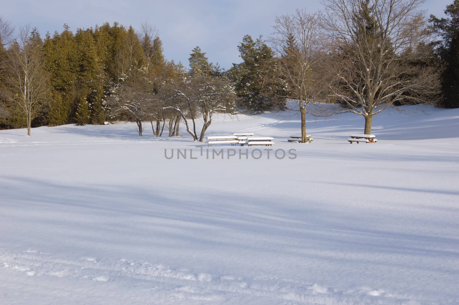 Barbecue tables under snow in Ontario park