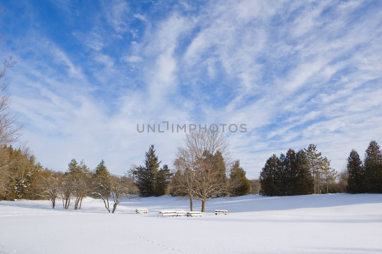 Barbecue tables under snow in Ontario park