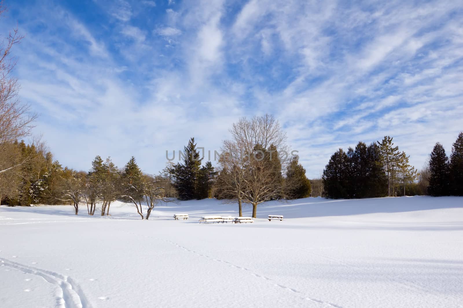 Barbecue tables under snow in Ontario park