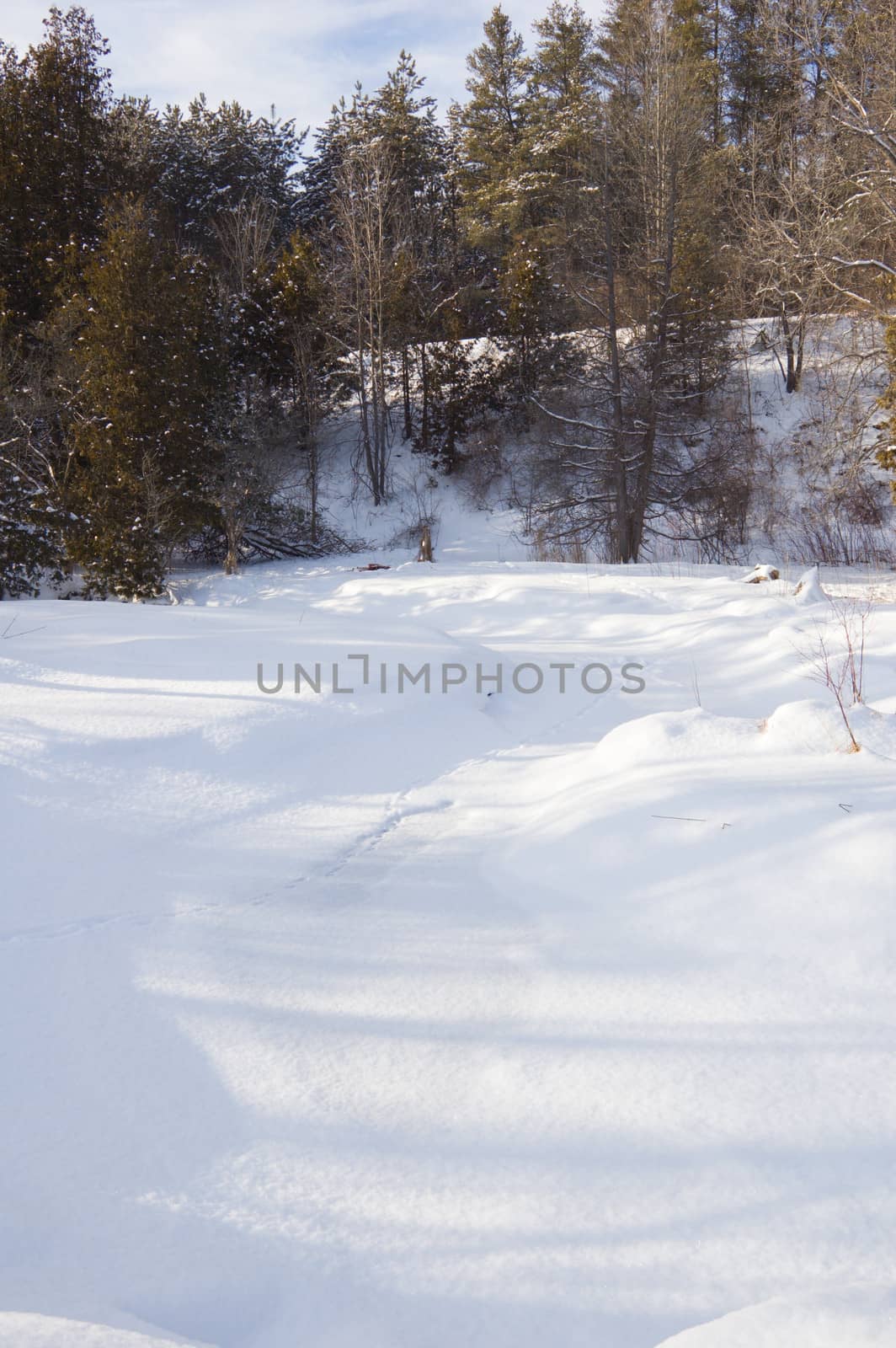 Small creek under ice and snow in winter forest at Albione Hills.