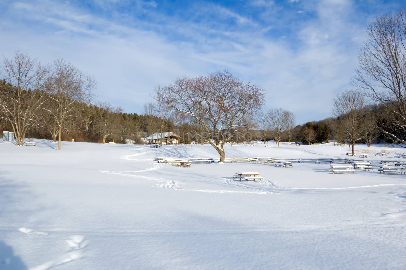 Barbecue tables under snow in Ontario park