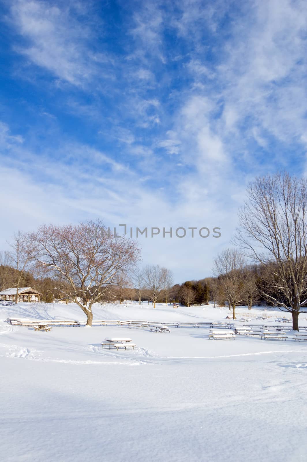 Barbecue tables under snow in Ontario park