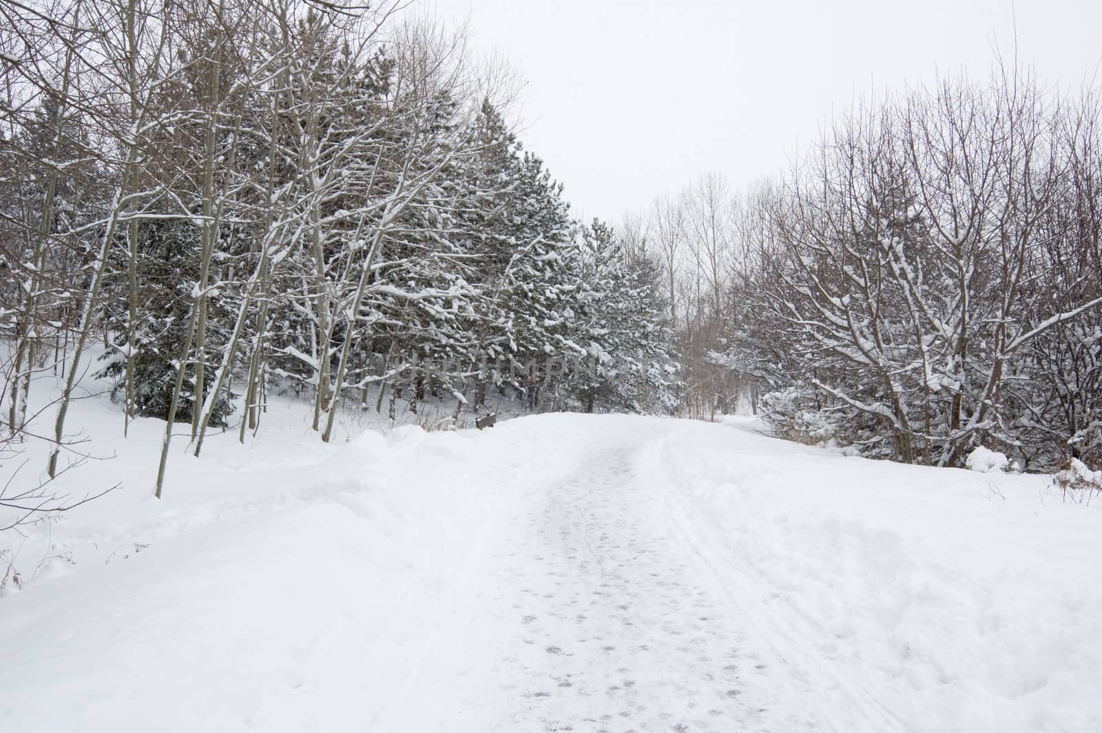 Human footprints on snow path in Toronto park