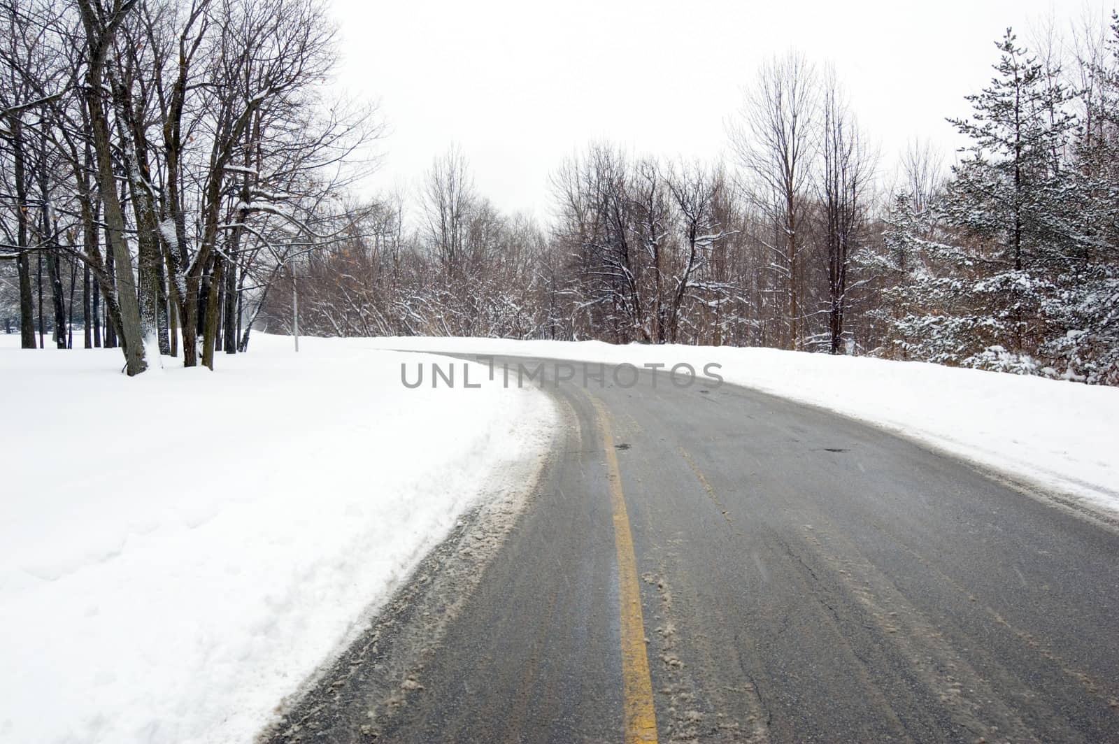 Forest road in snow forest at winter time