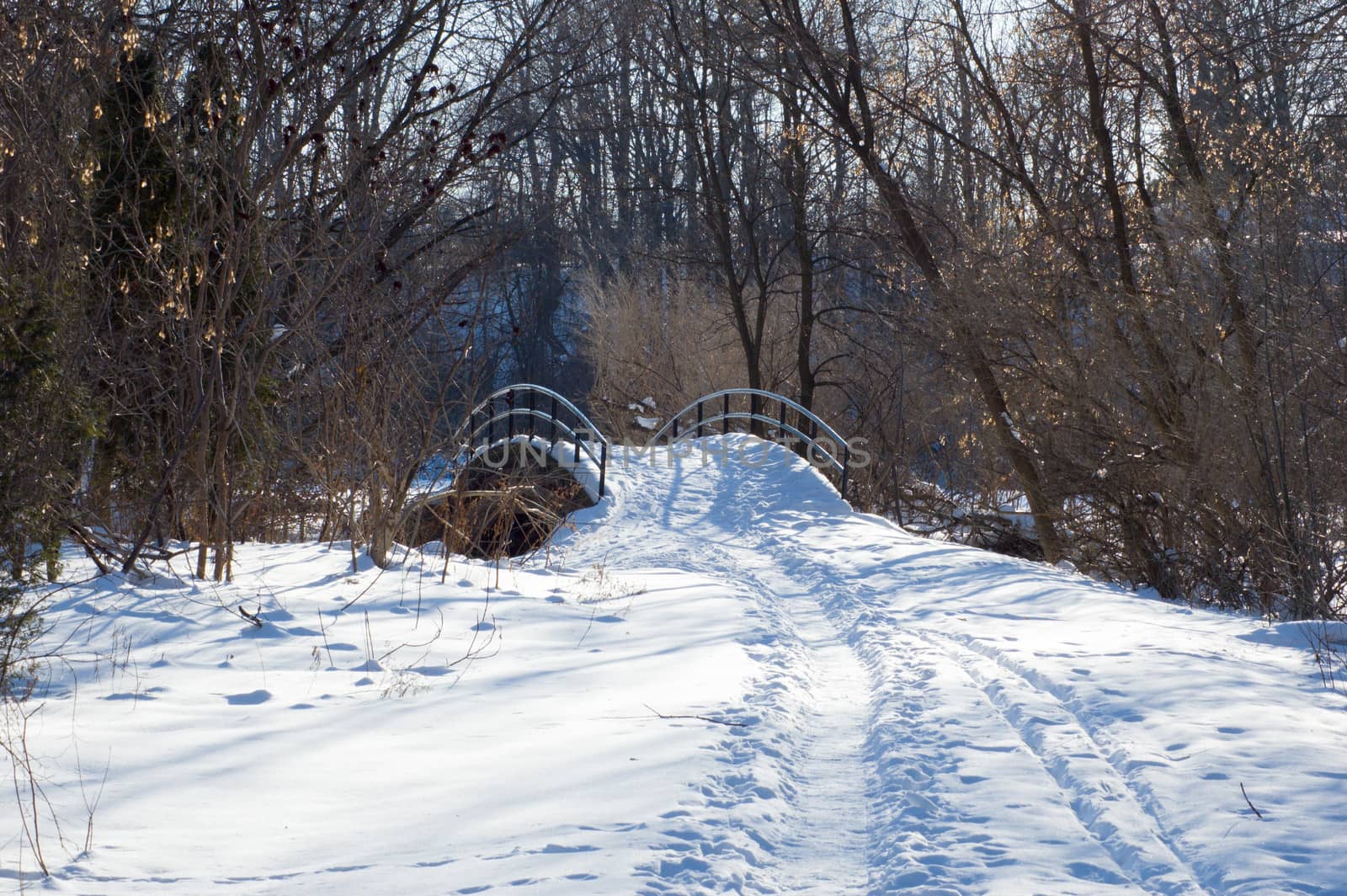 Sunset in Toronto park in winter time