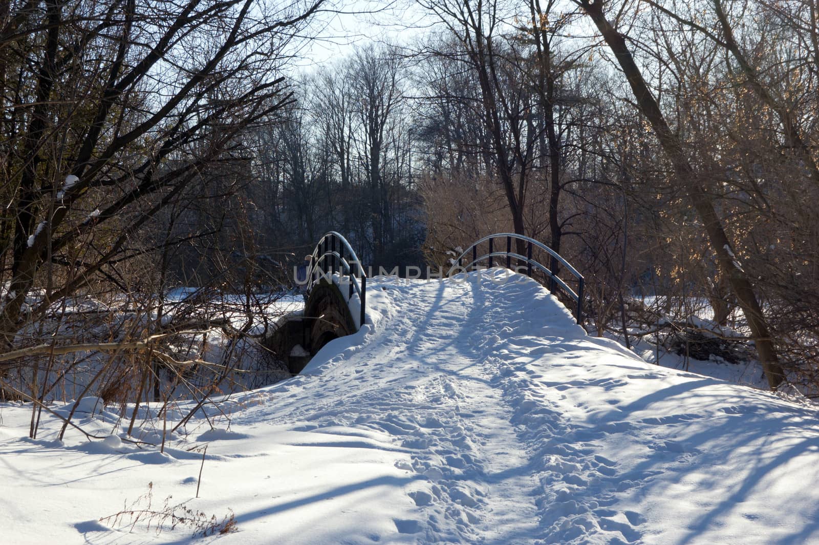 Sunset in Toronto park in winter time