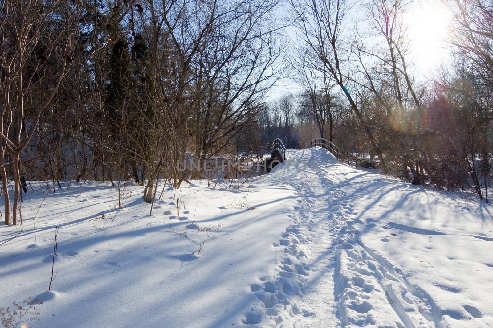 Sunset in Toronto park in winter time