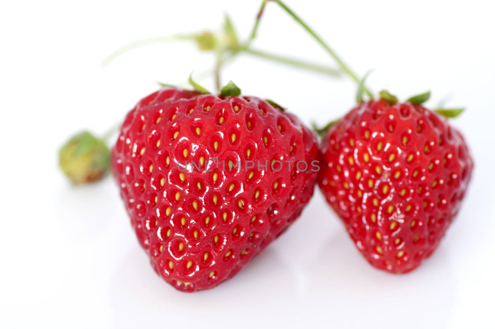 Two fresh strawberries on white background isolated