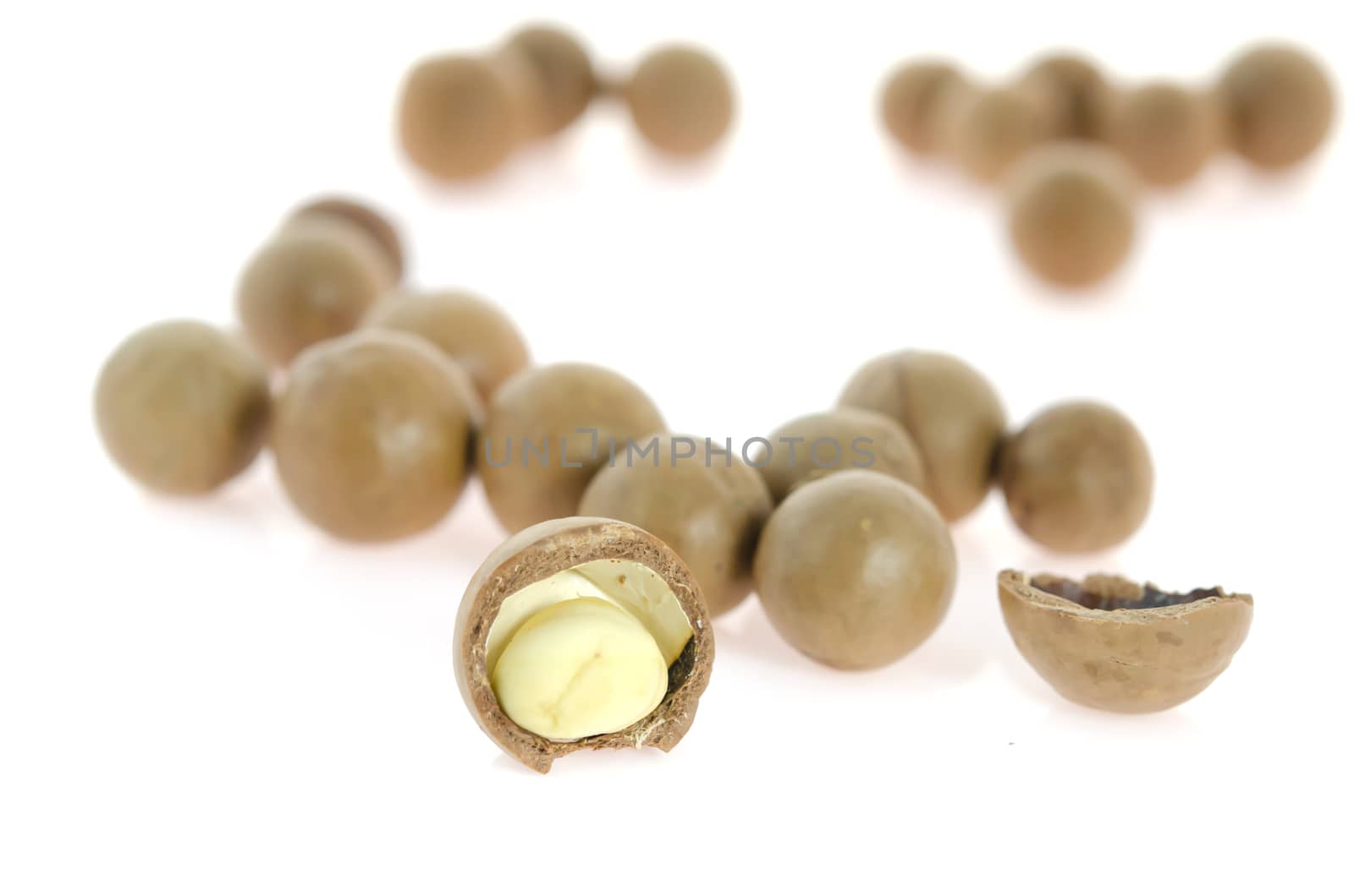 close up shelled  macadamia nuts  on white background