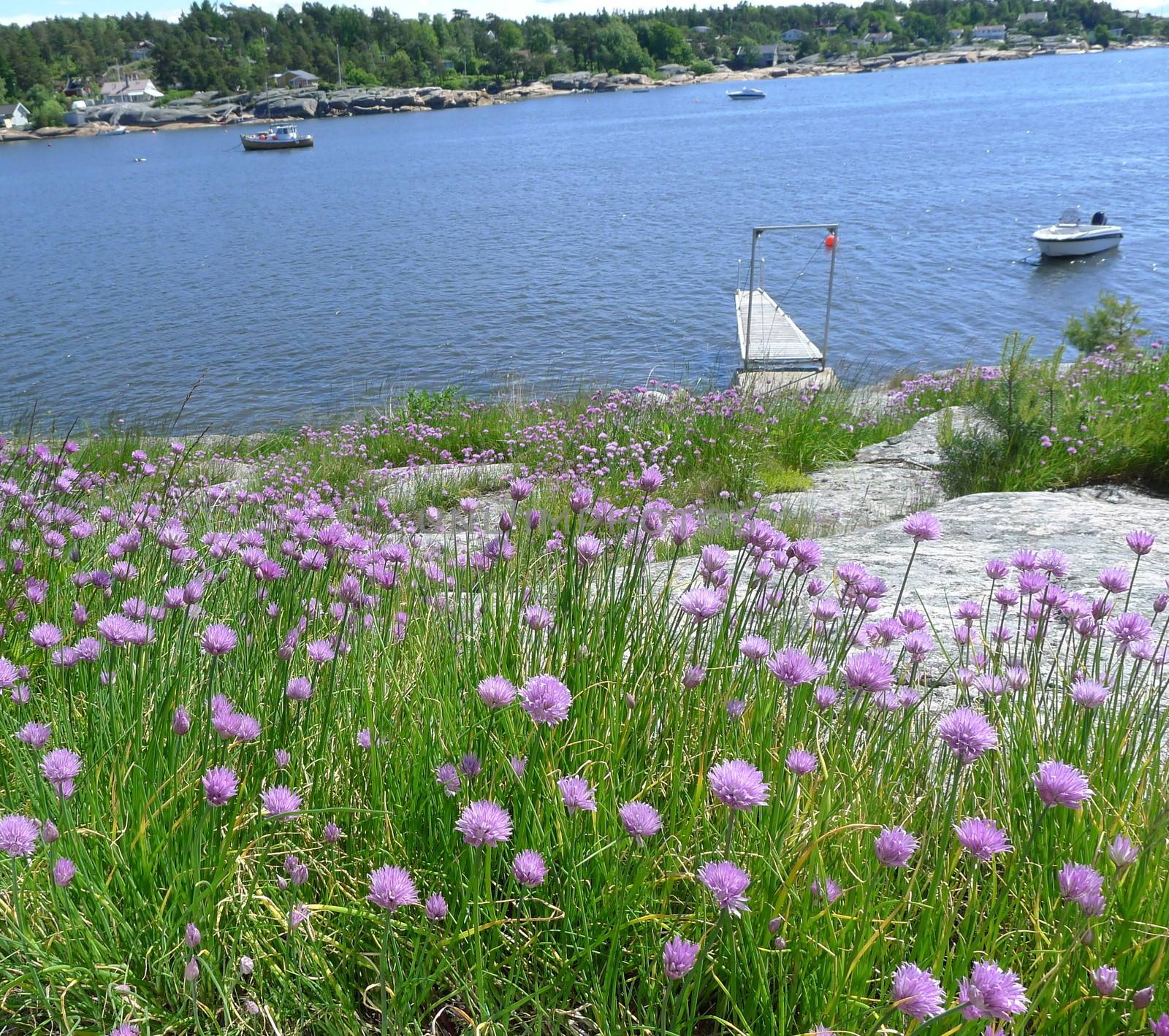 Norwegian summer view by Bildehagen