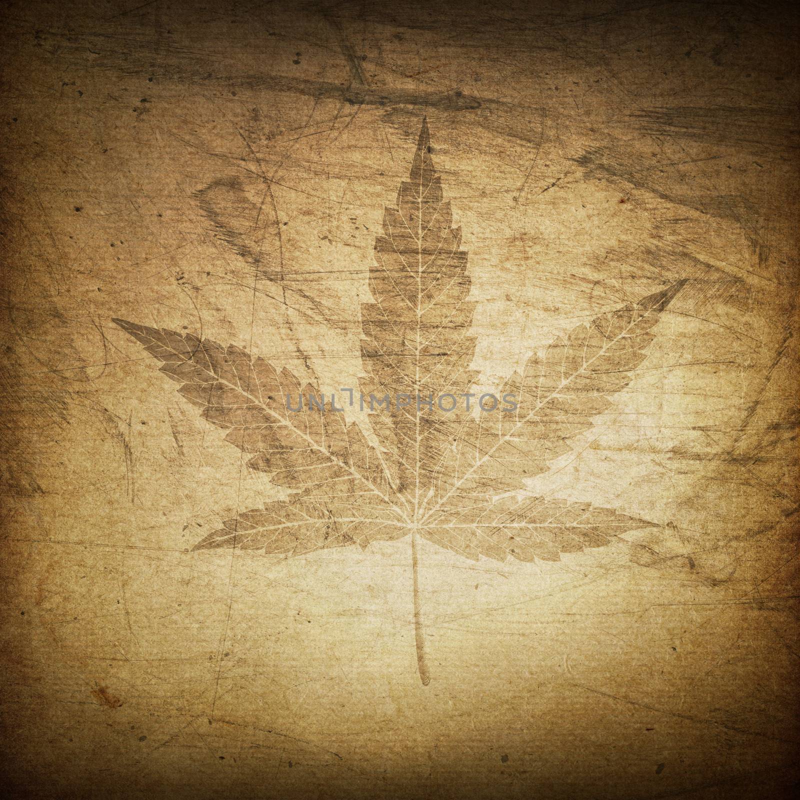 Cannabis leaf grunge background by pashabo