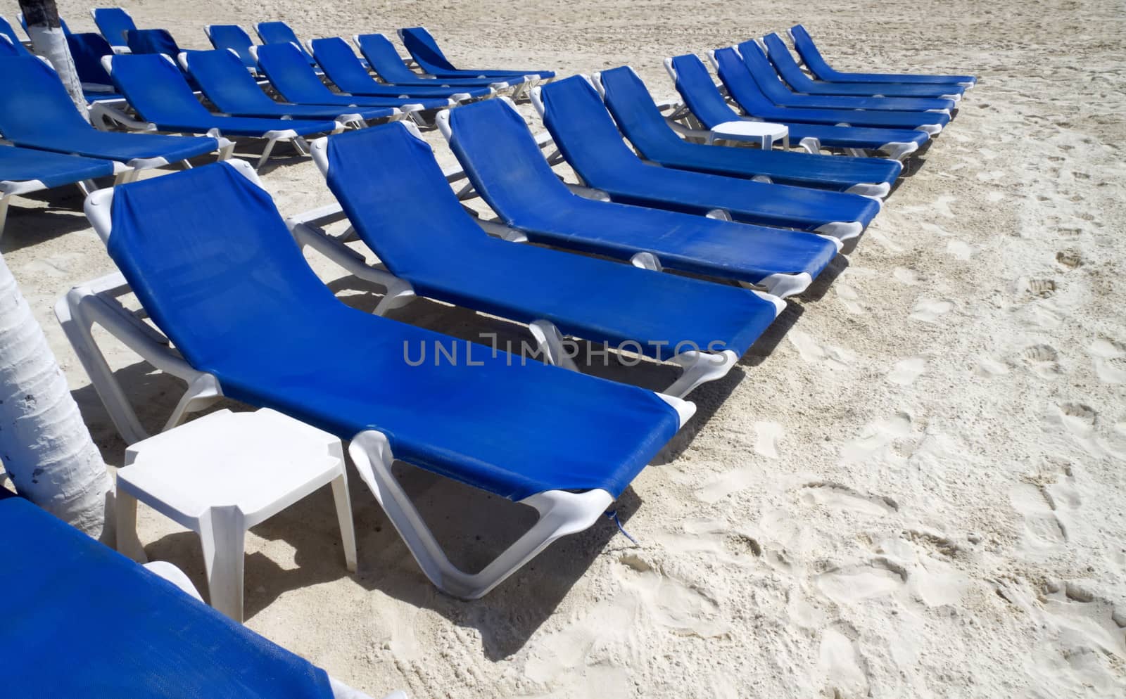 Rows of blue several lounge chairs on the beach