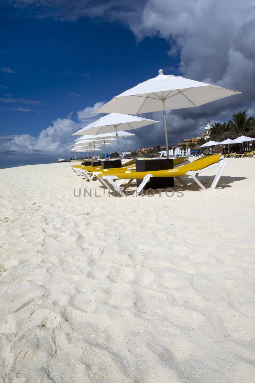 Rows of several lounge chairs and umbrellas on the beach