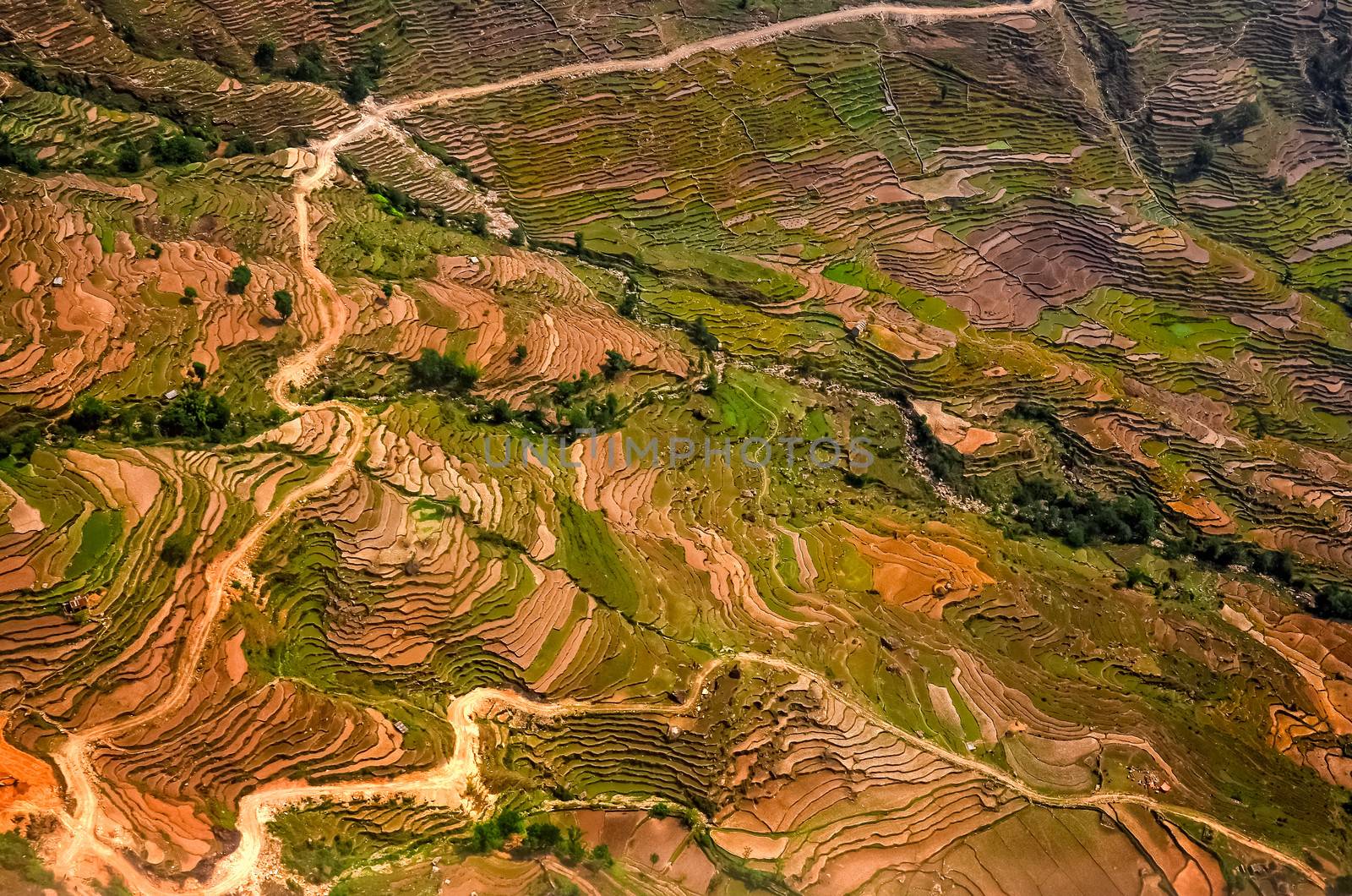 Aerial view of colorful filed terraces with the road