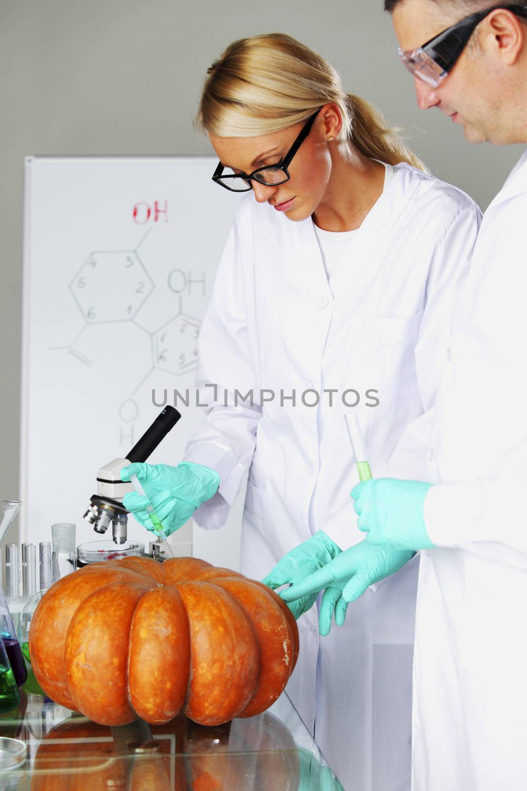 Scientist conducting genetic experiment with pumpkin