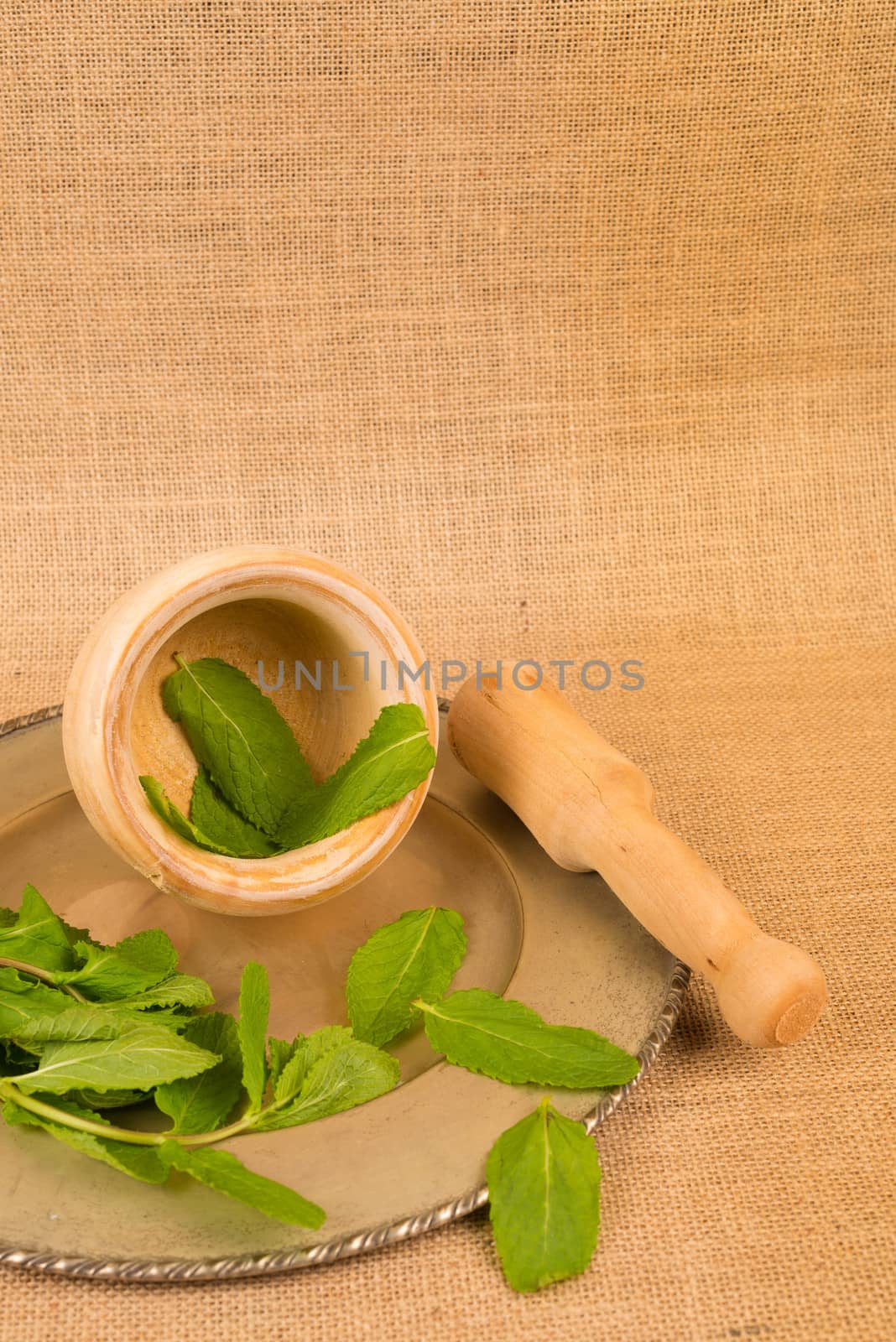 Aromatic mint for cooking