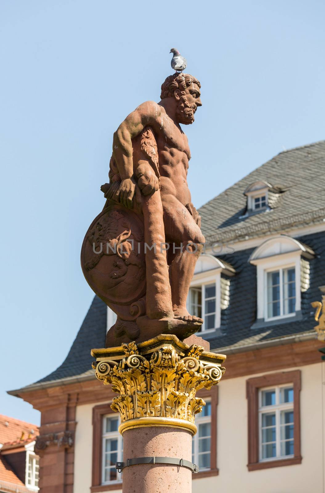 Statue of Hercules erected in 1703 in Market Square by Rathaus in old town city of Heidelberg Germany