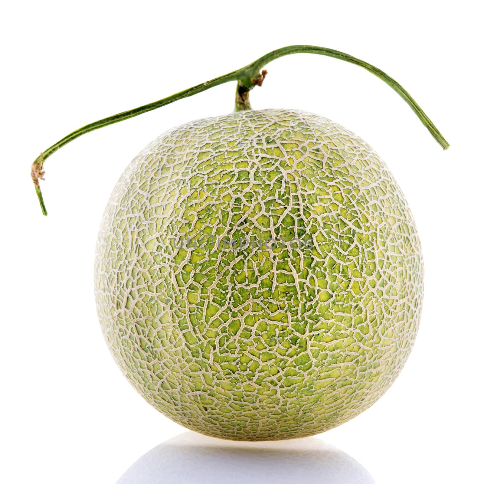 Rock Melon fruit. by szefei