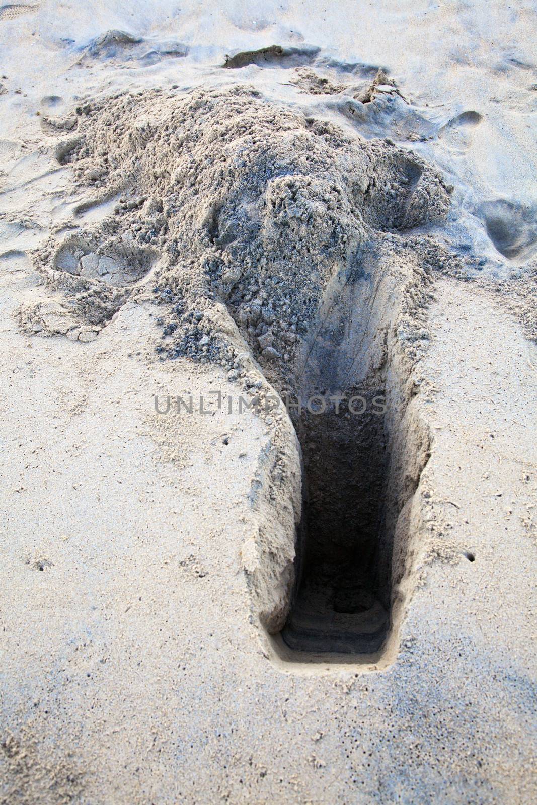 Vertical color capture of holes dug on a sandy beach in Pondicherry India by crab catchers during low tide to snare and trap crabs for local markets