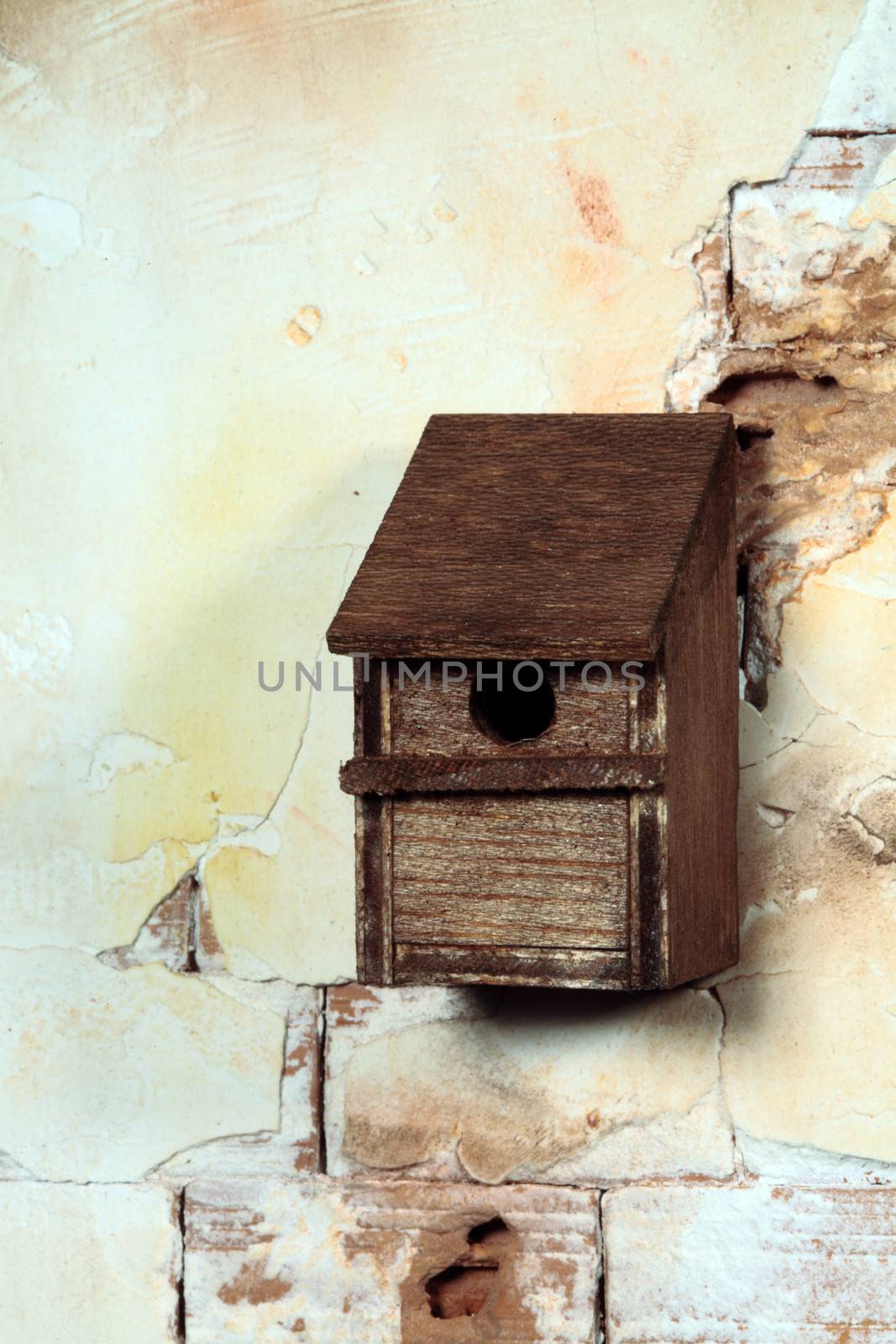 an old and rustic bird house on a dirty and broken wall